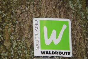 Waldroute Schild